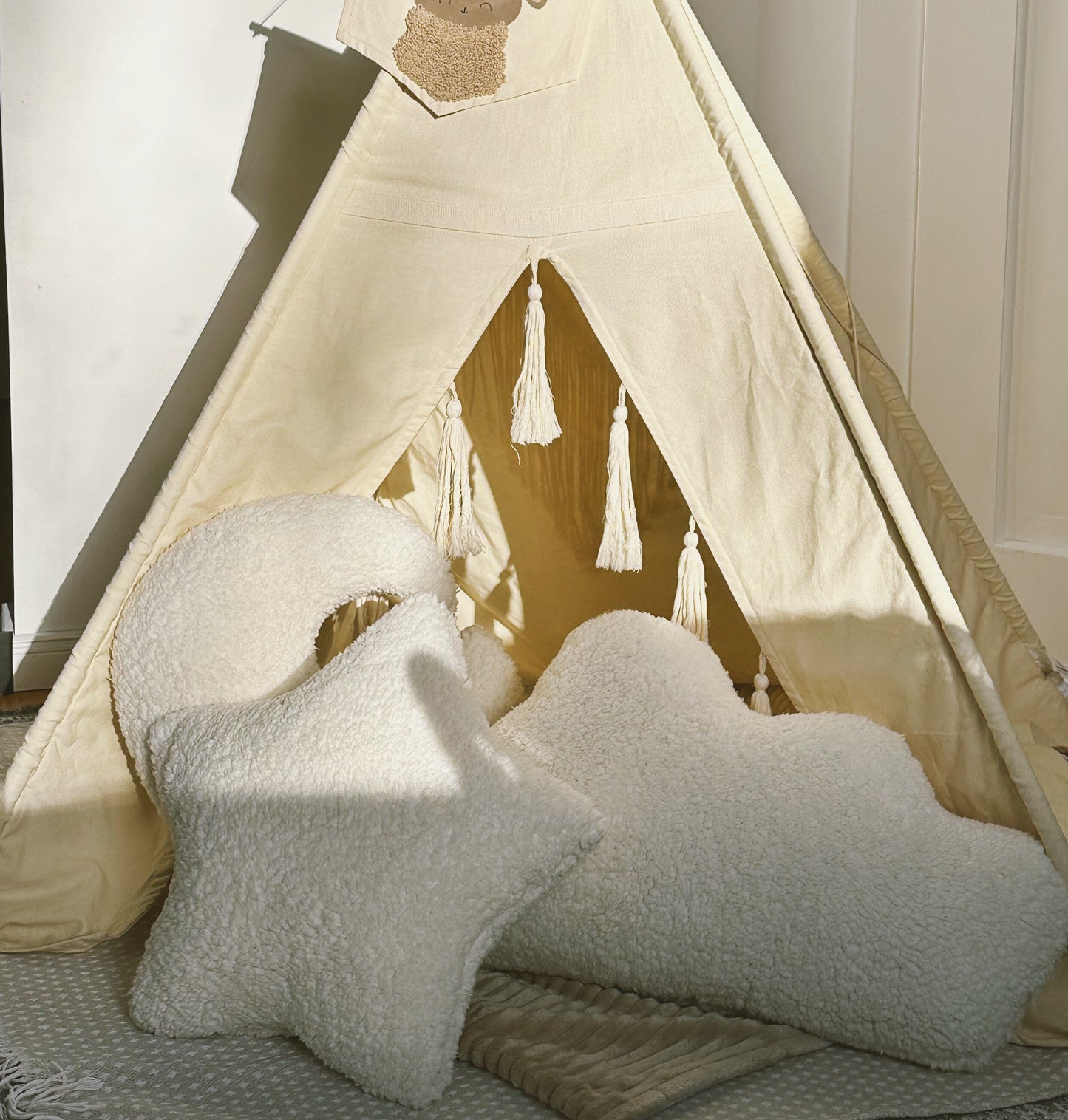 Dekokissen aus Teddyplüsch